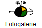 Fotogalerie