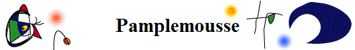 Pamplemousse