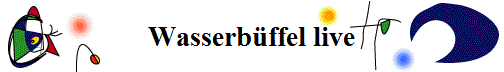 Wasserb�ffel live