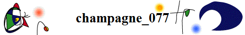 champagne_077