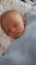 2016-max_02