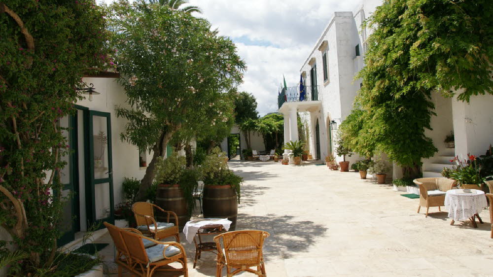 B&B Olivenfarm