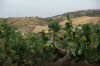 Sizilien-67