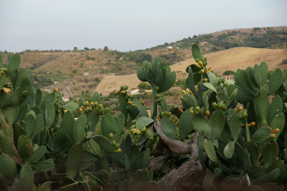Sizilien-67