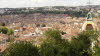 champagne_073