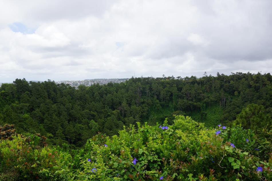 Curepipe
