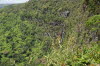 Black River Gorges National Park